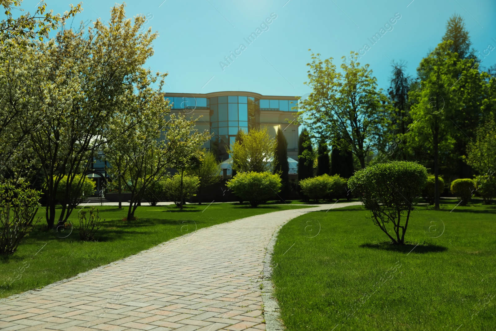 Photo of Beautiful view of fresh green grass growing in park outdoors