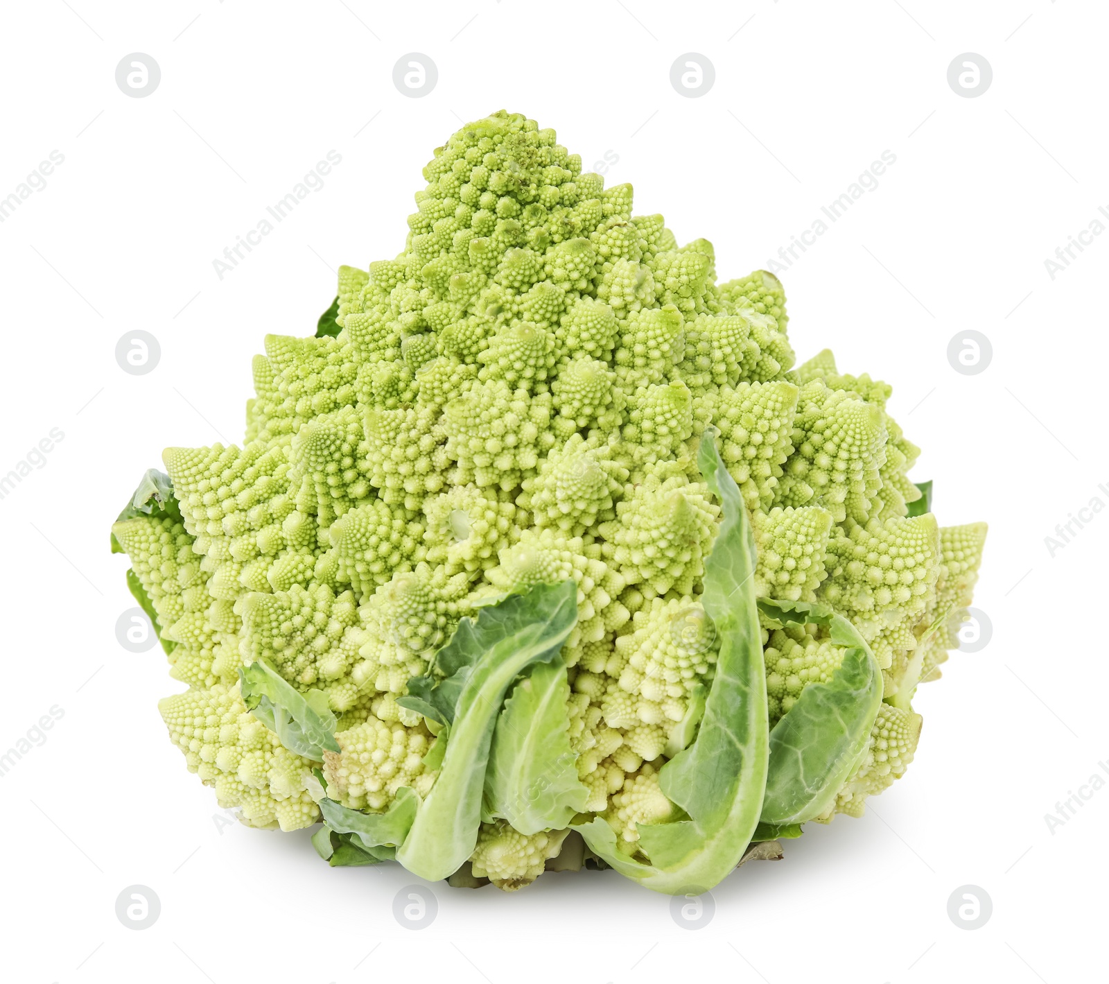 Photo of Fresh raw Romanesco broccoli isolated on white