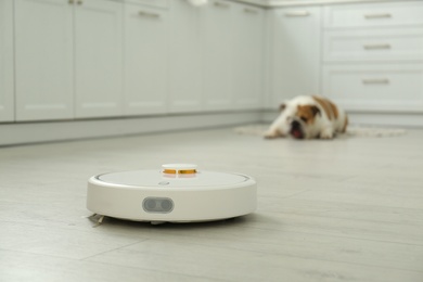 Photo of Robotic vacuum cleaner and adorable dog on floor in kitchen