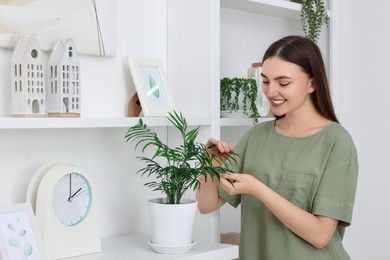 Beautiful young woman with green houseplant at home