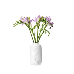 Photo of Bouquet of fresh freesia flowers in vase isolated on white