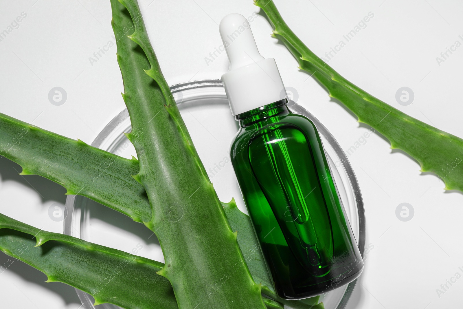 Photo of Petri dish with cosmetic product and aloe vera leaves on white background