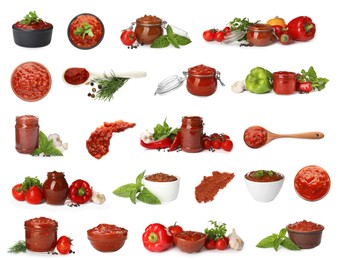 Image of Set with adjika sauce and ingredients on white background 