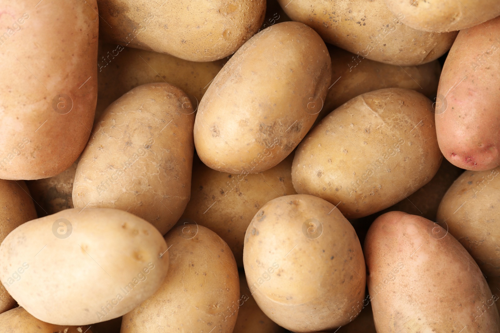 Photo of Fresh ripe organic potatoes as background, top view