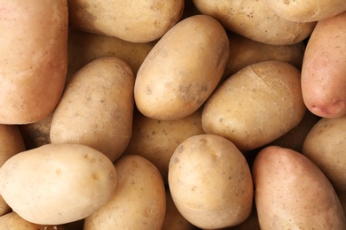 Fresh ripe organic potatoes as background, top view