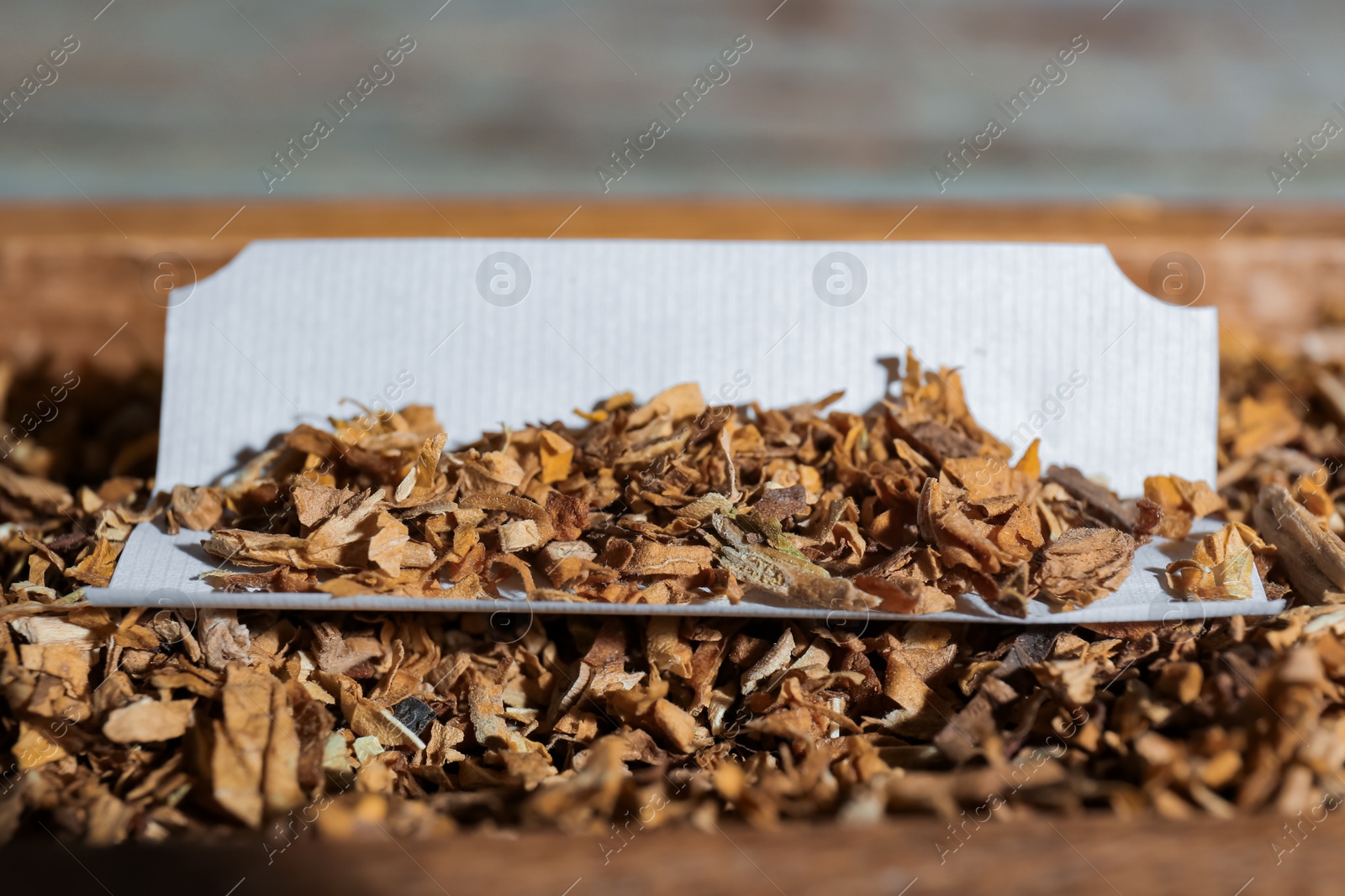 Photo of Paper and tobacco on table, closeup. Making hand rolled cigarette