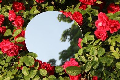 Photo of Round mirror among beautiful red flowers reflecting sky and tree on sunny day