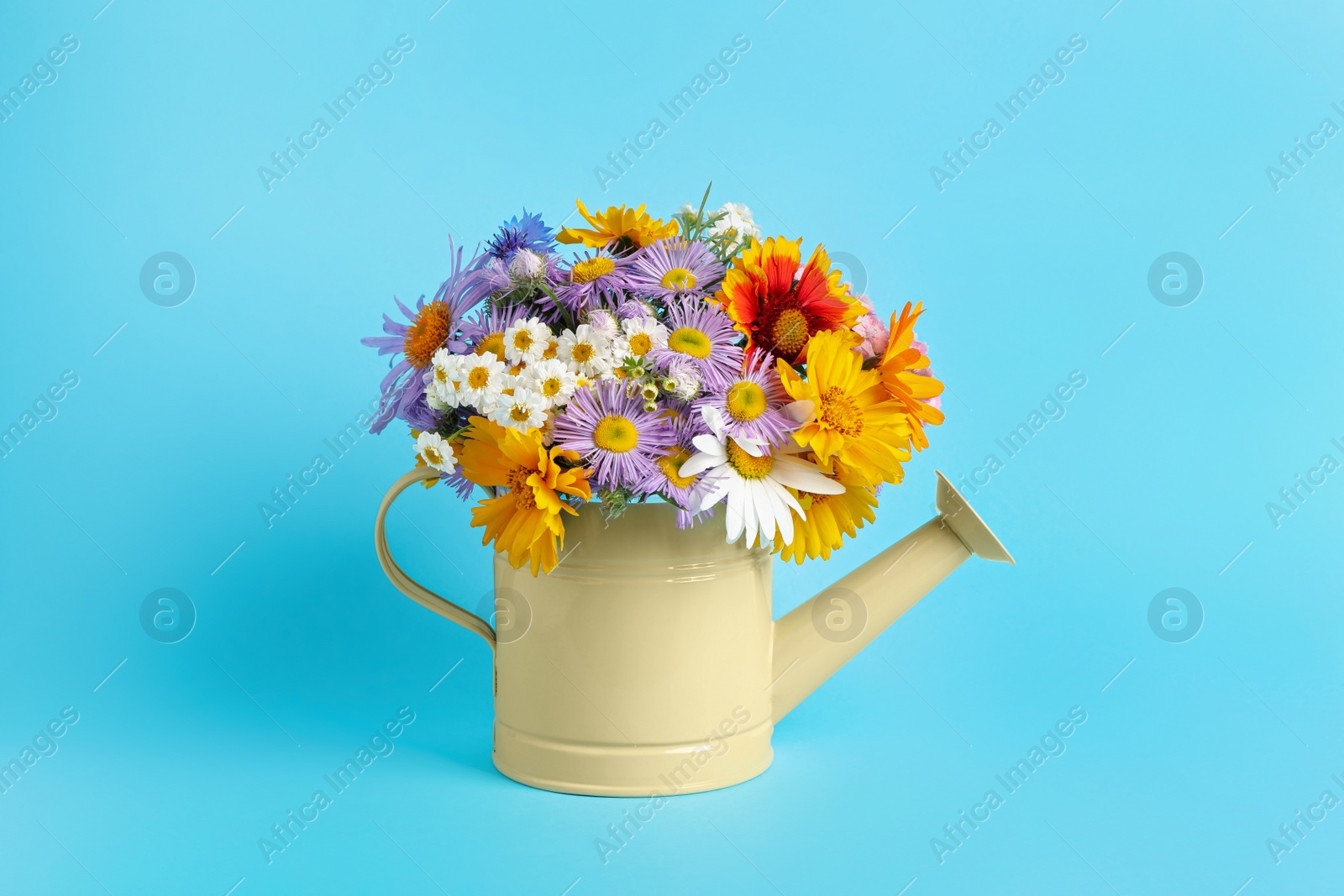 Photo of Yellow watering can with beautiful flowers on light blue background