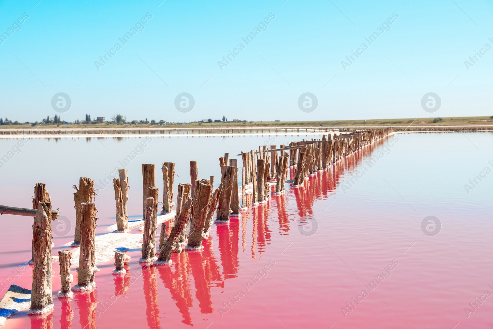 Photo of Beautiful view of pink lake on summer day