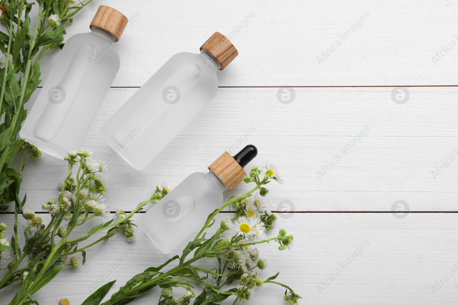 Photo of Bottles of essential oil with chamomile flowers on white wooden table, flat lay. Space for text