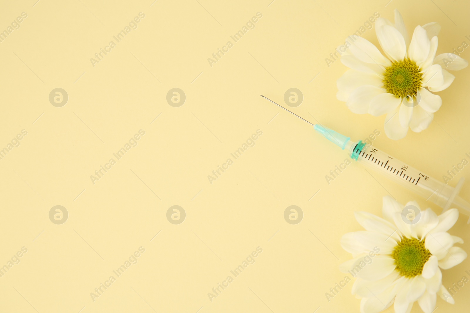 Photo of Medical syringe and chrysanthemum flowers on pale yellow background, flat lay. Space for text