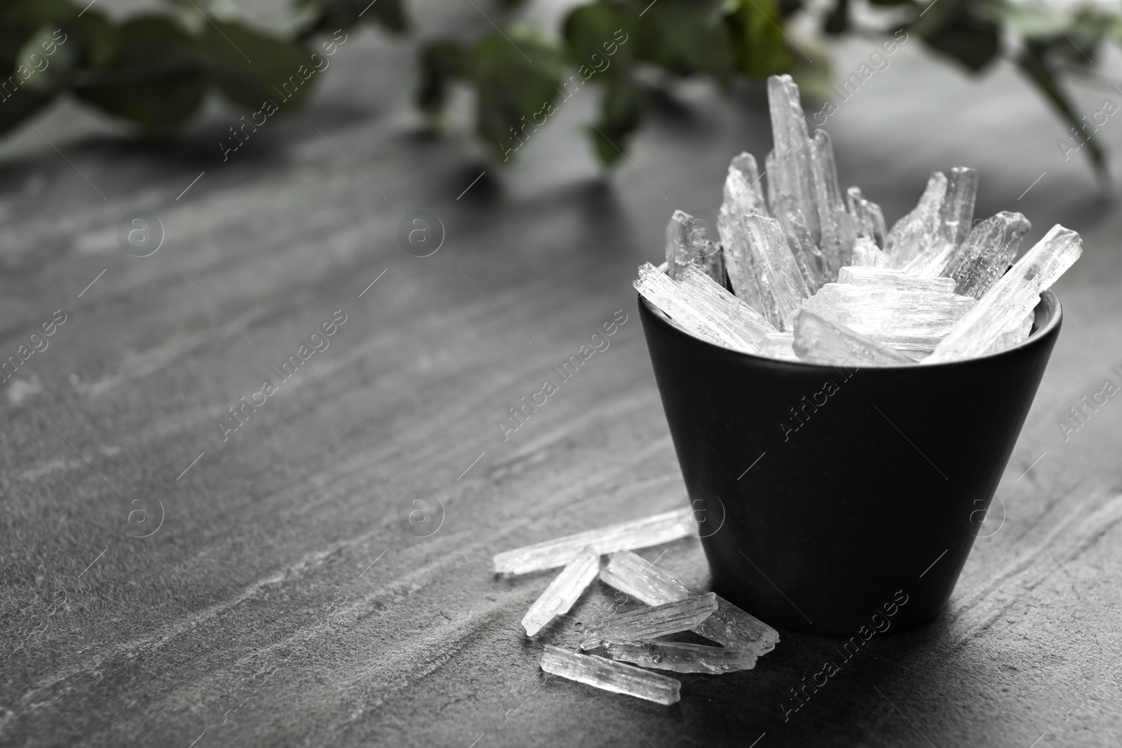 Photo of Menthol crystals on grey background. Space for text