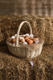 Fresh chicken eggs in wicker basket on dried straw bale