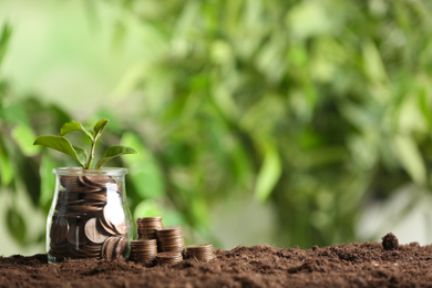 Photo of Coins and green sprout on soil against blurred background, space for text. Money savings