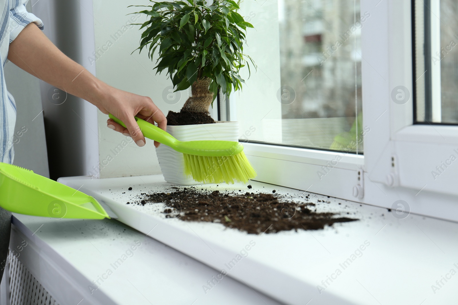 Photo of Woman cleaning window sill from soil at home, closeup