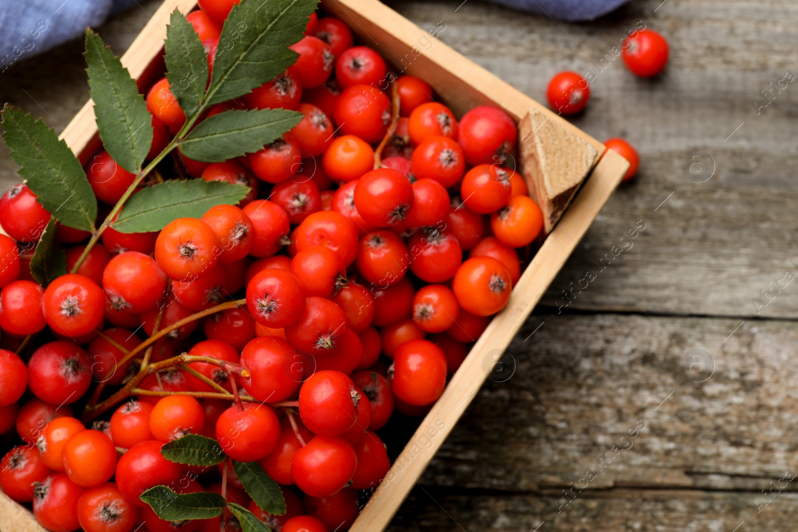 Photo of Fresh ripe rowan berries with green leaves on wooden table, flat lay