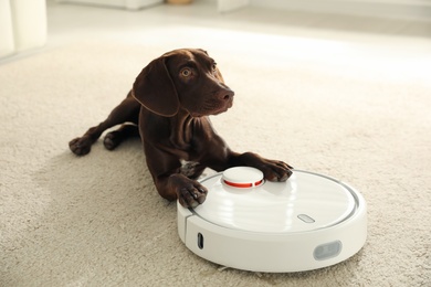 Photo of Modern robotic vacuum cleaner and German Shorthaired Pointer dog on floor indoors