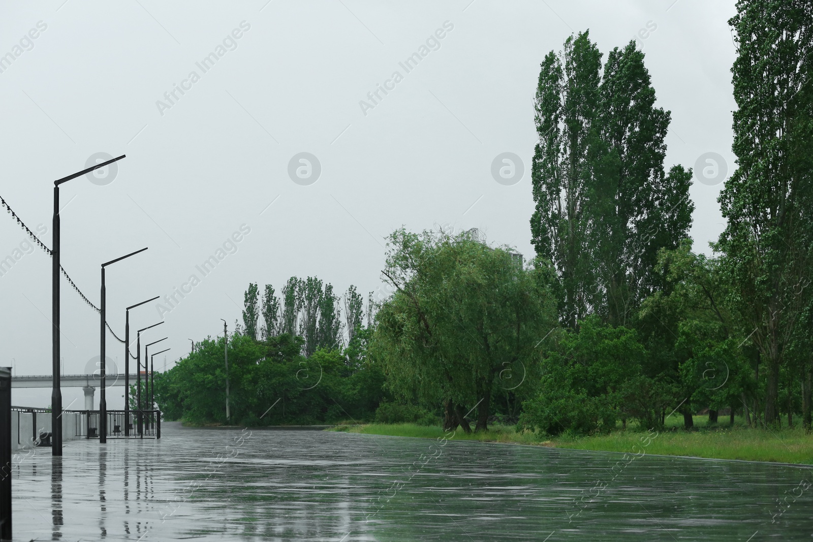 Photo of Empty city embankment under heavy rain on spring day