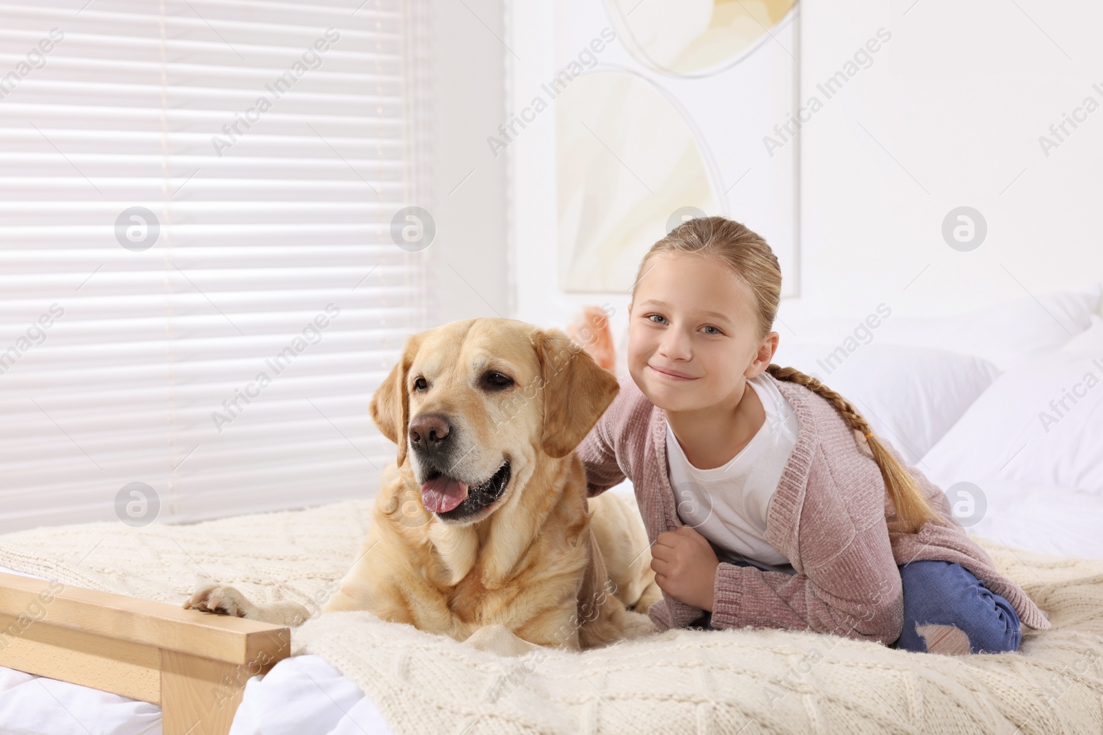 Photo of Cute child with her Labrador Retriever on bed at home. Adorable pet