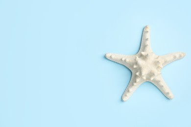 Photo of Beautiful sea star on light blue background, top view. Space for text