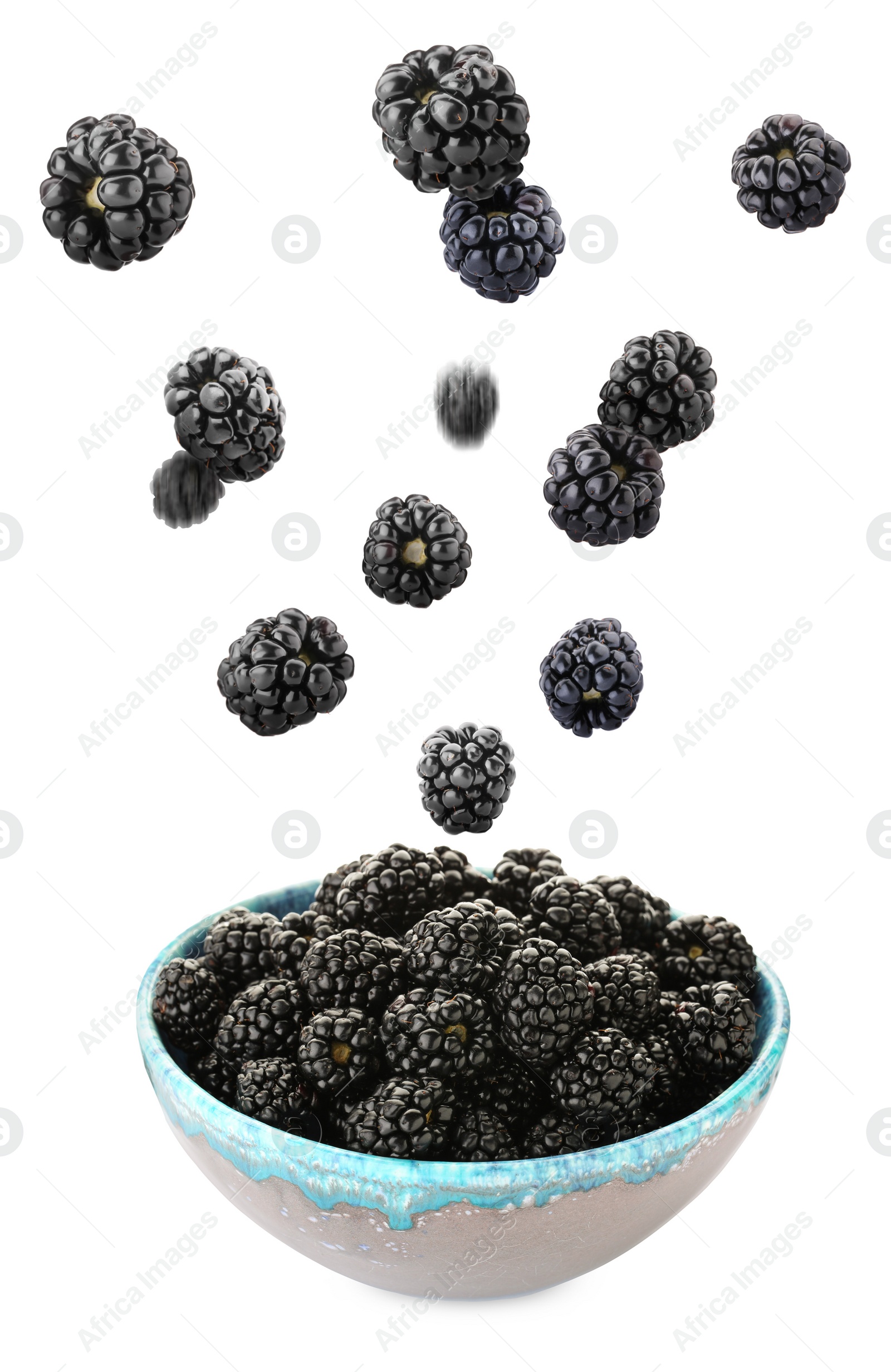 Delicious ripe blackberries falling into bowl on white background Image of Delicious ripe blackberries falling into bowl on white background