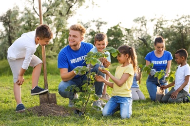 Photo of Kids planting trees with volunteers in park