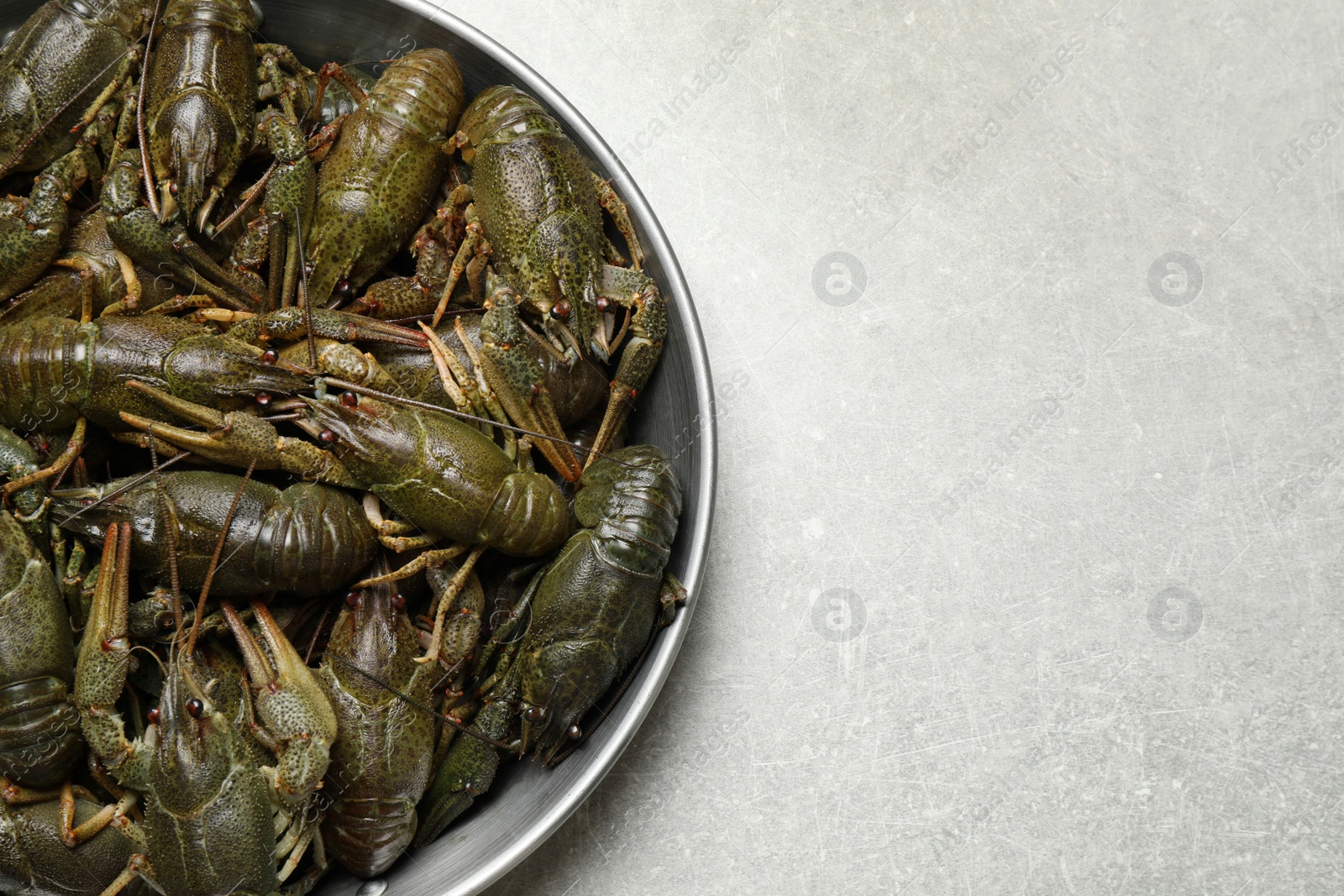 Photo of Fresh raw crayfishes on grey table, top view. Space for text