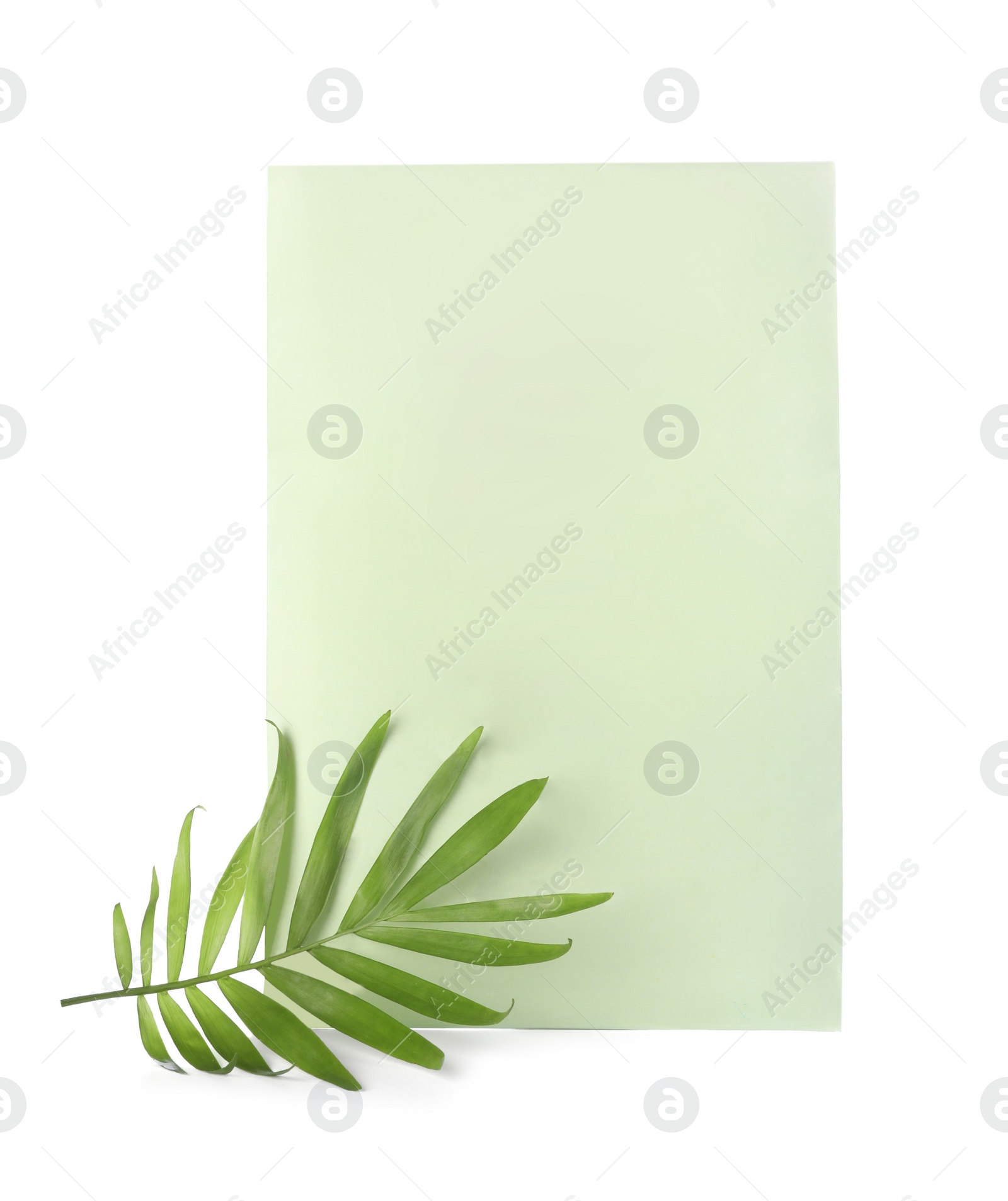 Photo of Scented sachet and green leaf on white background