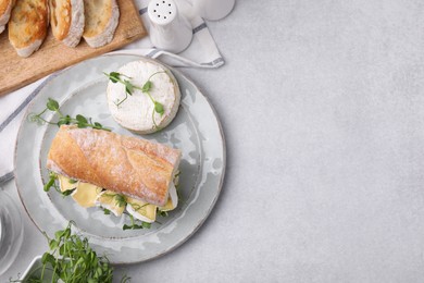 Photo of Tasty brie cheese sandwich served on light grey table, flat lay. Space for text