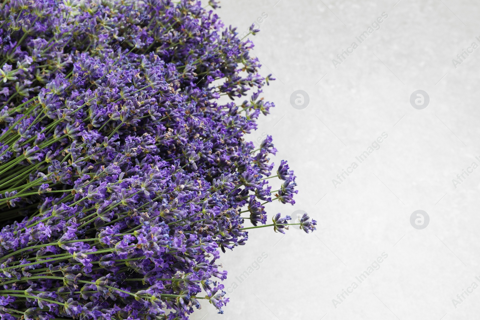 Photo of Fresh lavender flowers on grey stone table, closeup view. Space for text