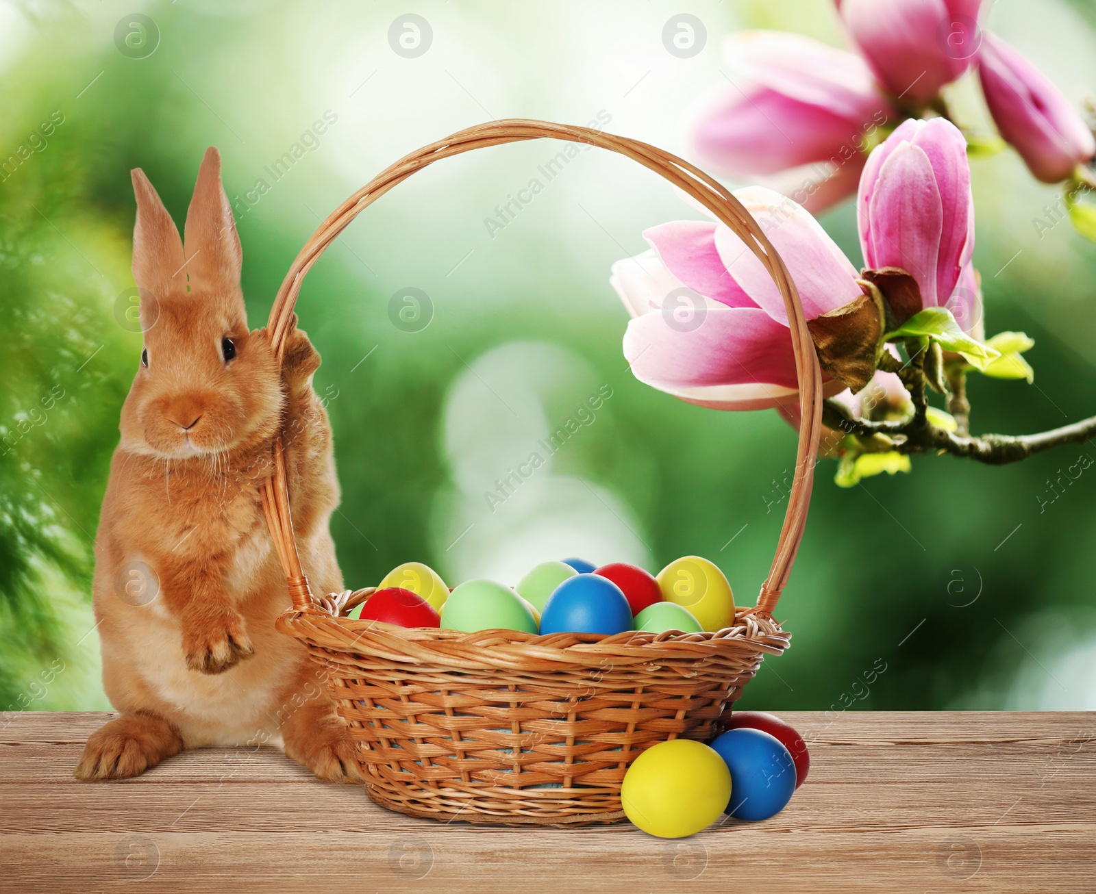 Image of Adorable bunny and wicker basket with Easter eggs on wooden surface outdoors