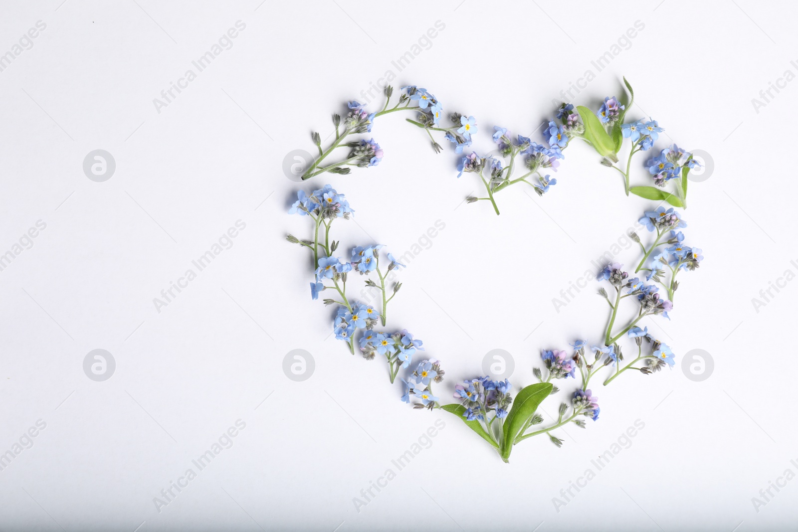 Photo of Heart made with beautiful forget-me-not flowers on white background, top view. Space for text