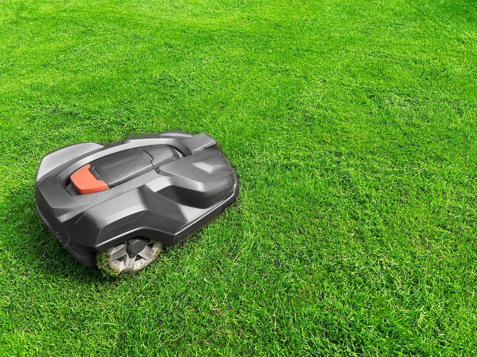 Photo of Modern robot lawn mower on green grass in garden