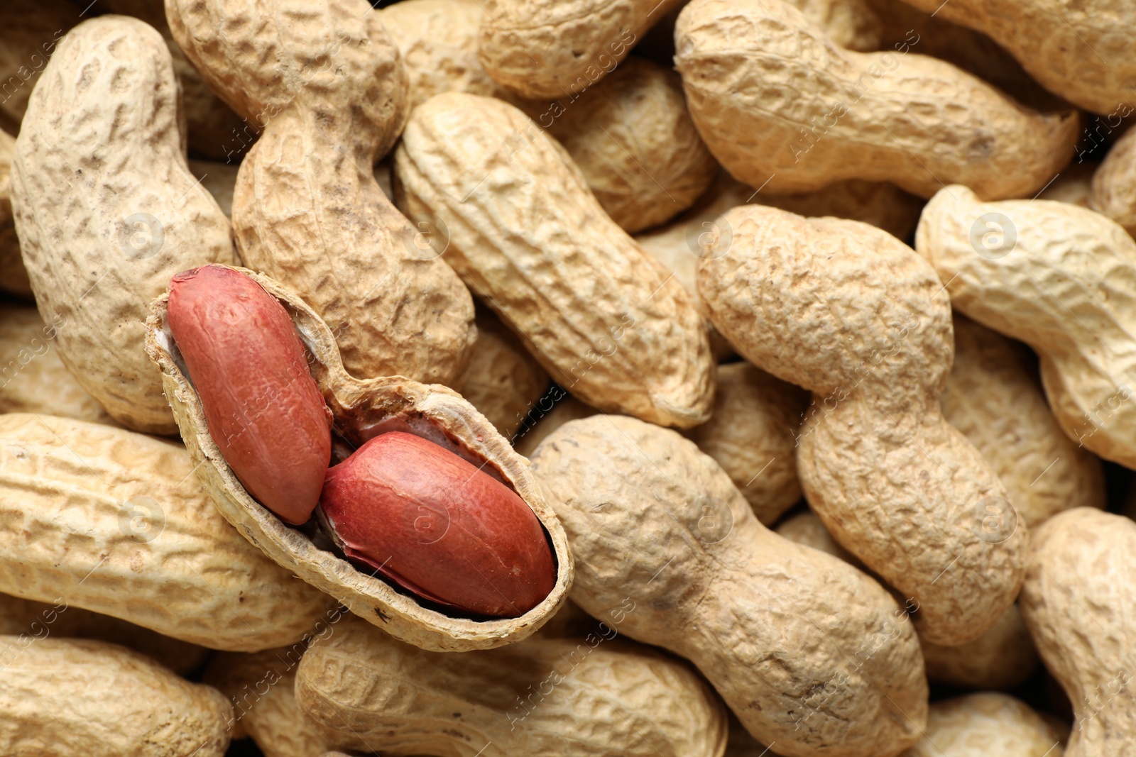 Photo of Many fresh unpeeled peanuts as background, closeup