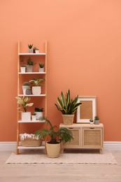 Photo of Stylish room interior with decorative ladder and plants near coral wall