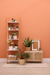 Stylish room interior with decorative ladder and plants near coral wall