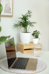 Photo of Beautiful houseplants, laptop and glass of water on white table indoors