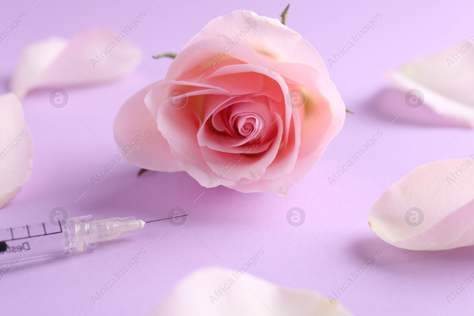 Photo of Cosmetology. Medical syringe, rose flower and petals on pink background, closeup