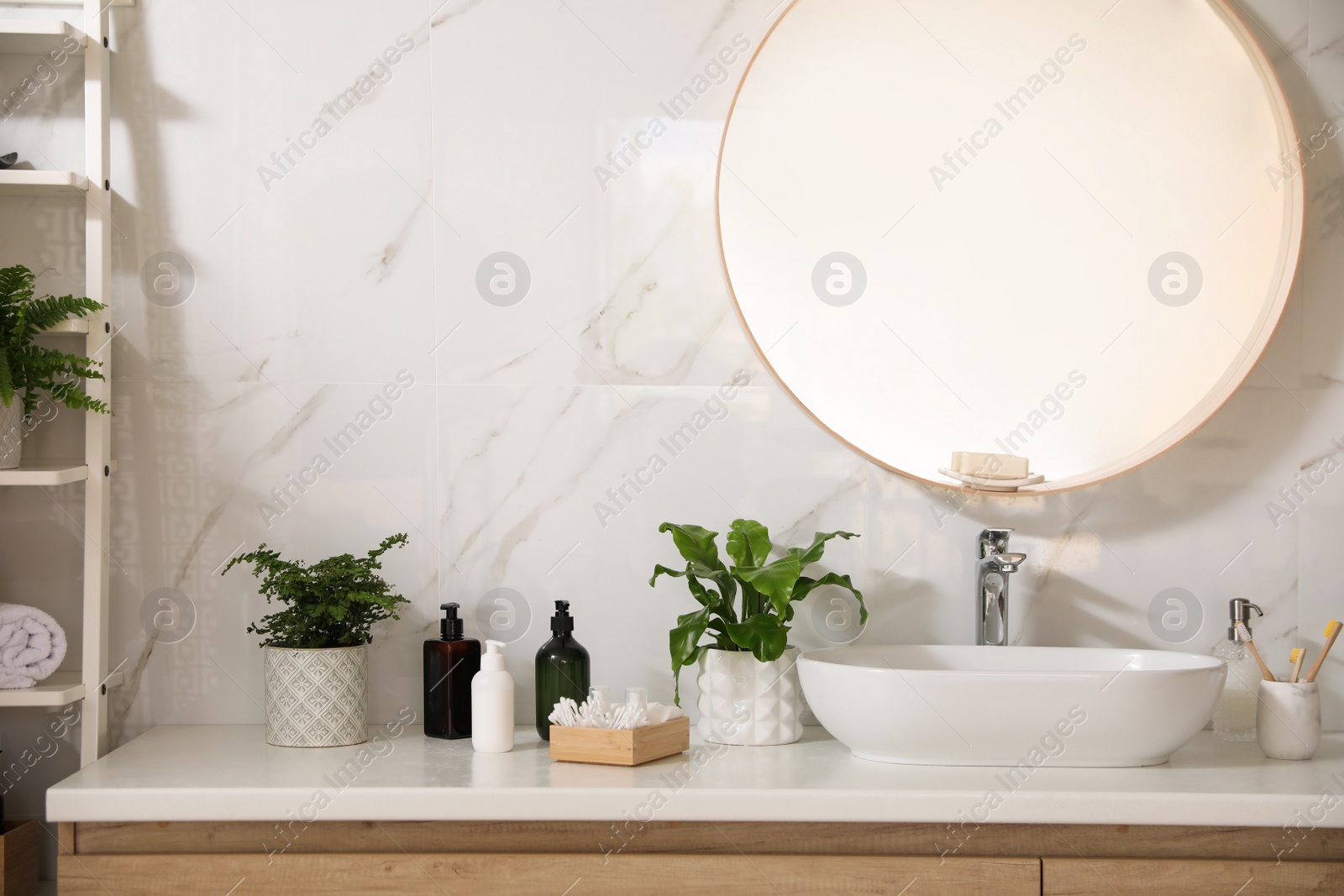 Photo of Beautiful green ferns and toiletries in bathroom