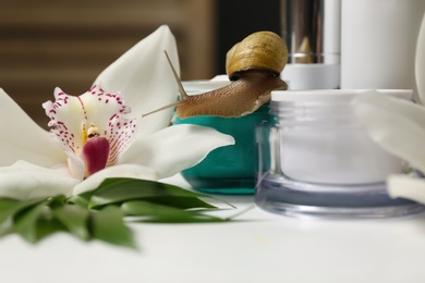 Photo of Snail, jars of cream and orchid flower on white table, closeup