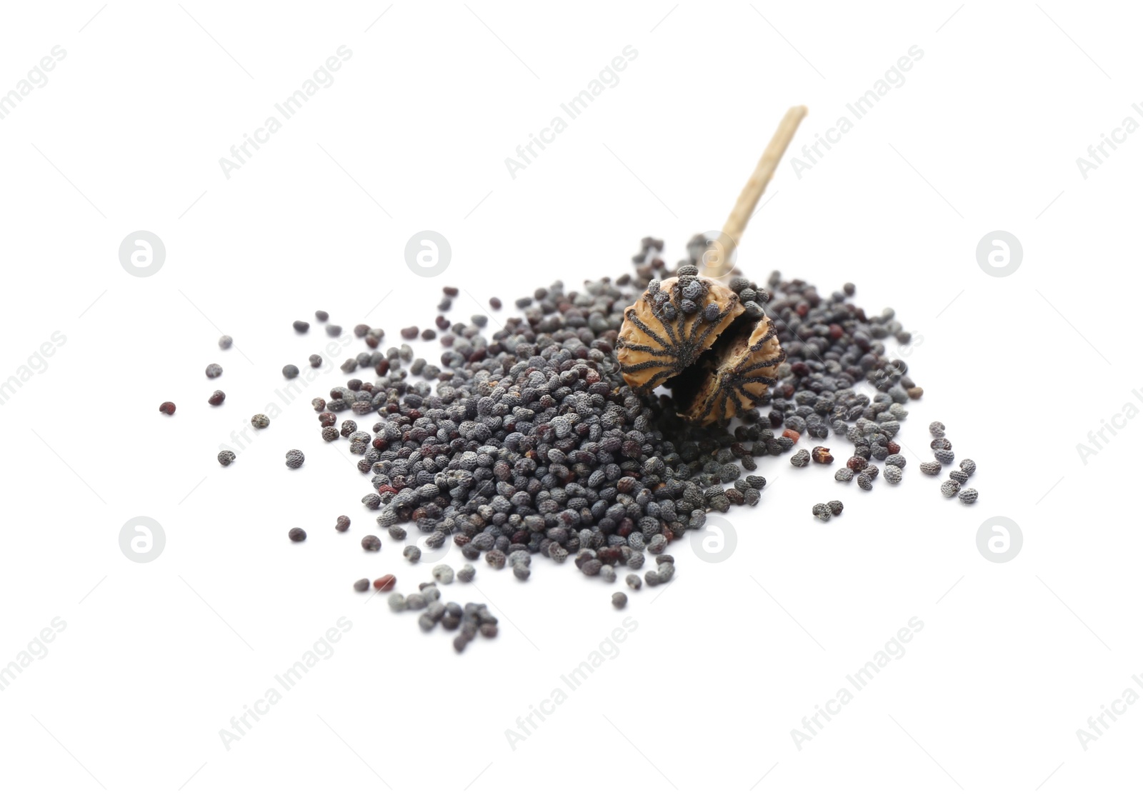 Photo of Dried poppyhead and seeds on white background
