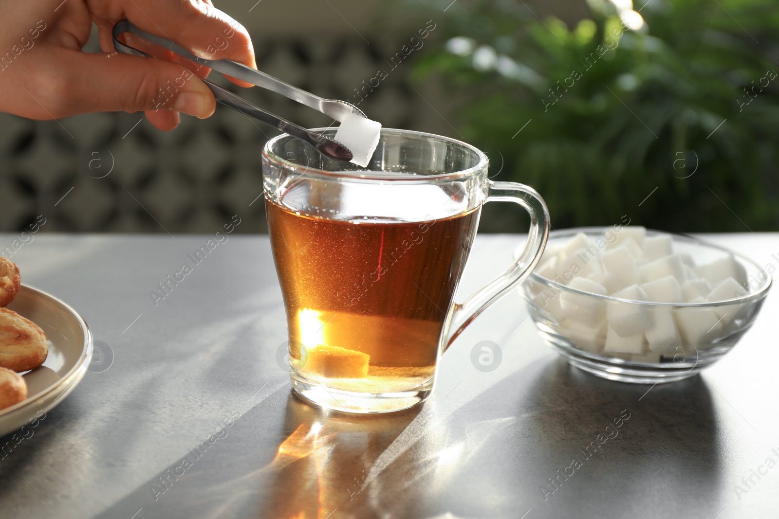 Photo of Woman adding sugar cube into cup of tea at dark table, closeup