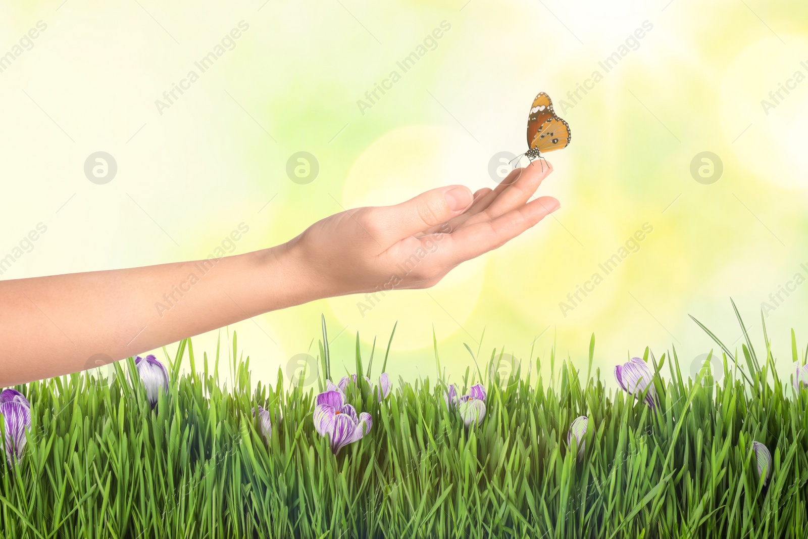 Image of Woman with monarch butterfly against blurred green background, closeup