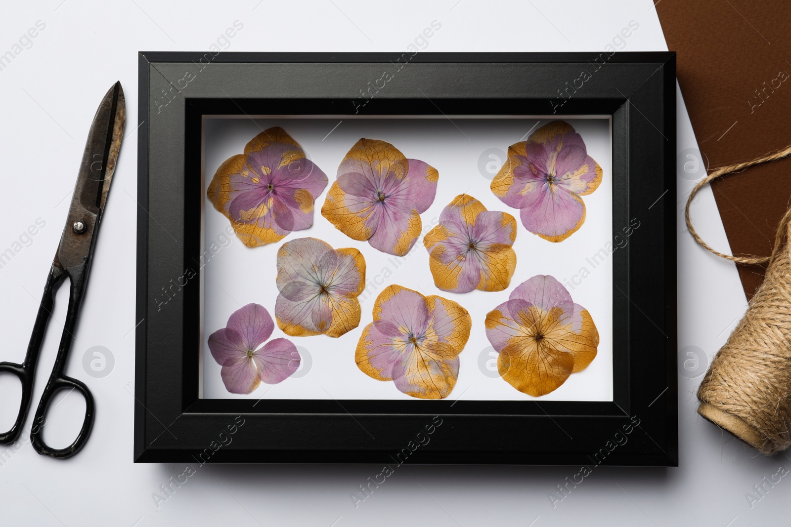 Photo of Frame with wild dried meadow flowers, scissors and thread on white background, top view