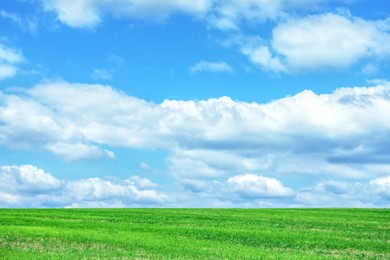 Image of Beautiful green field under blue sky with clouds