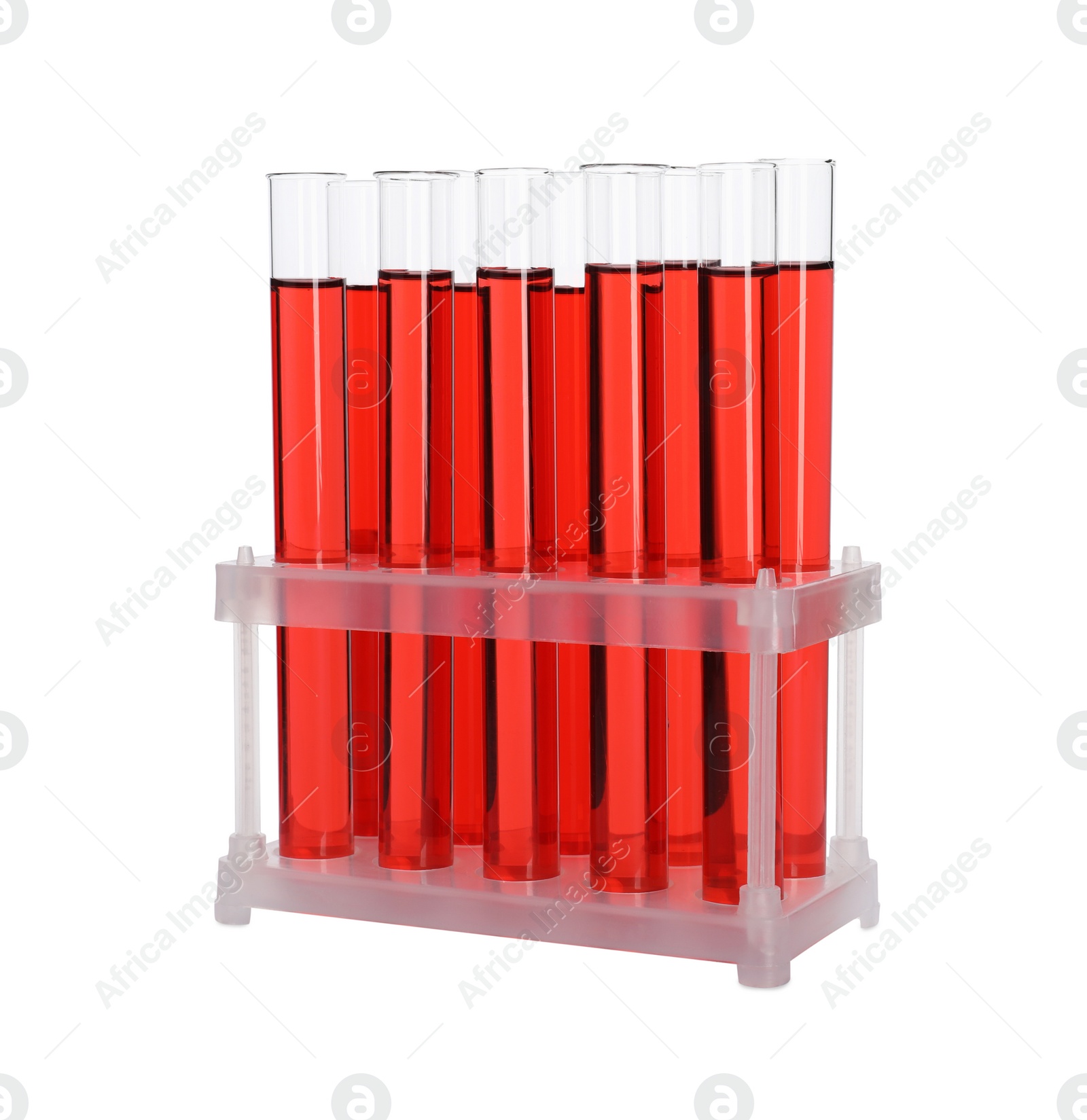 Photo of Many test tubes with red liquid in stand isolated on white