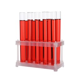 Many test tubes with red liquid in stand isolated on white