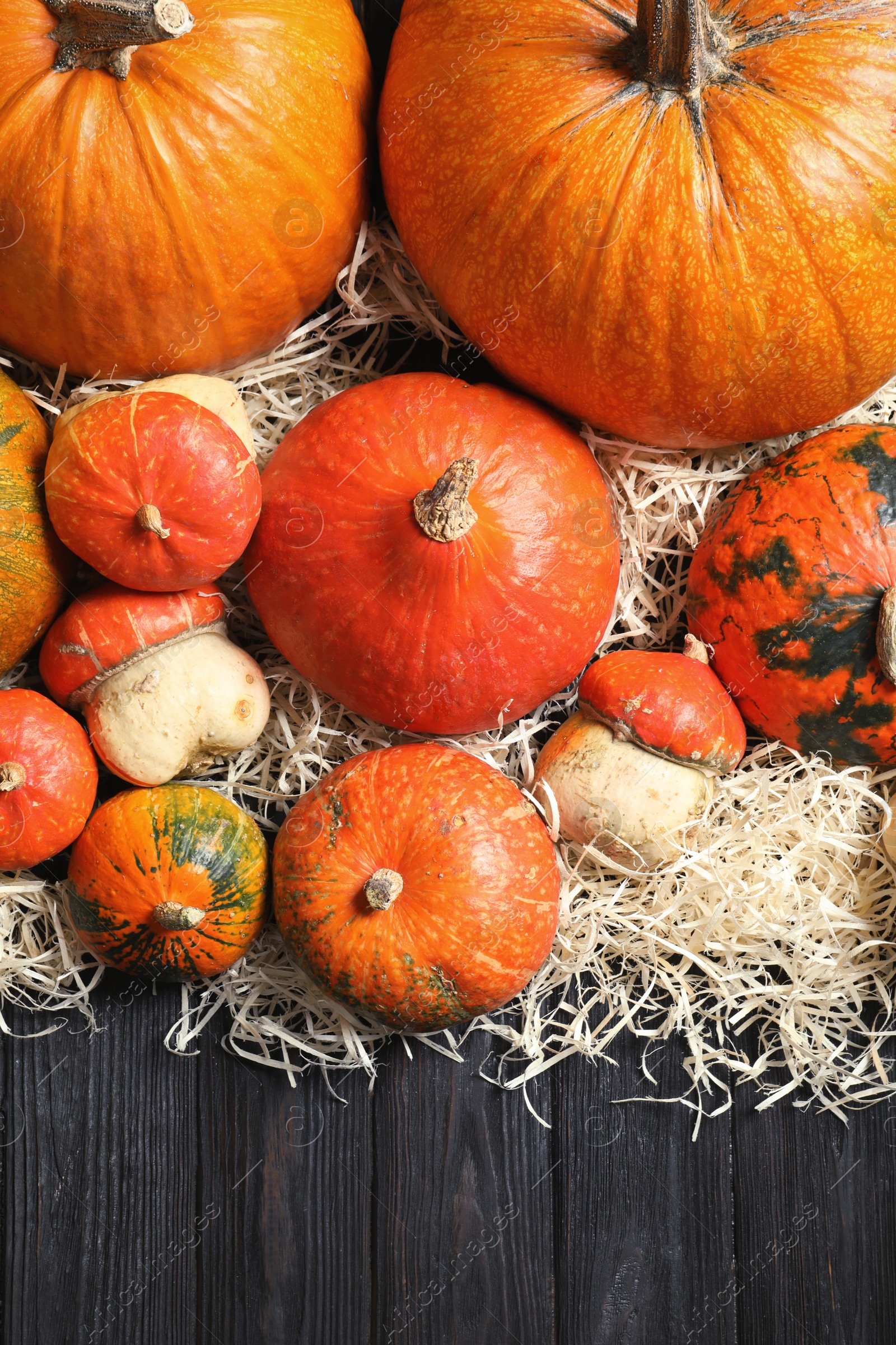 Photo of Flat lay composition with different pumpkins on wooden background. Autumn holidays