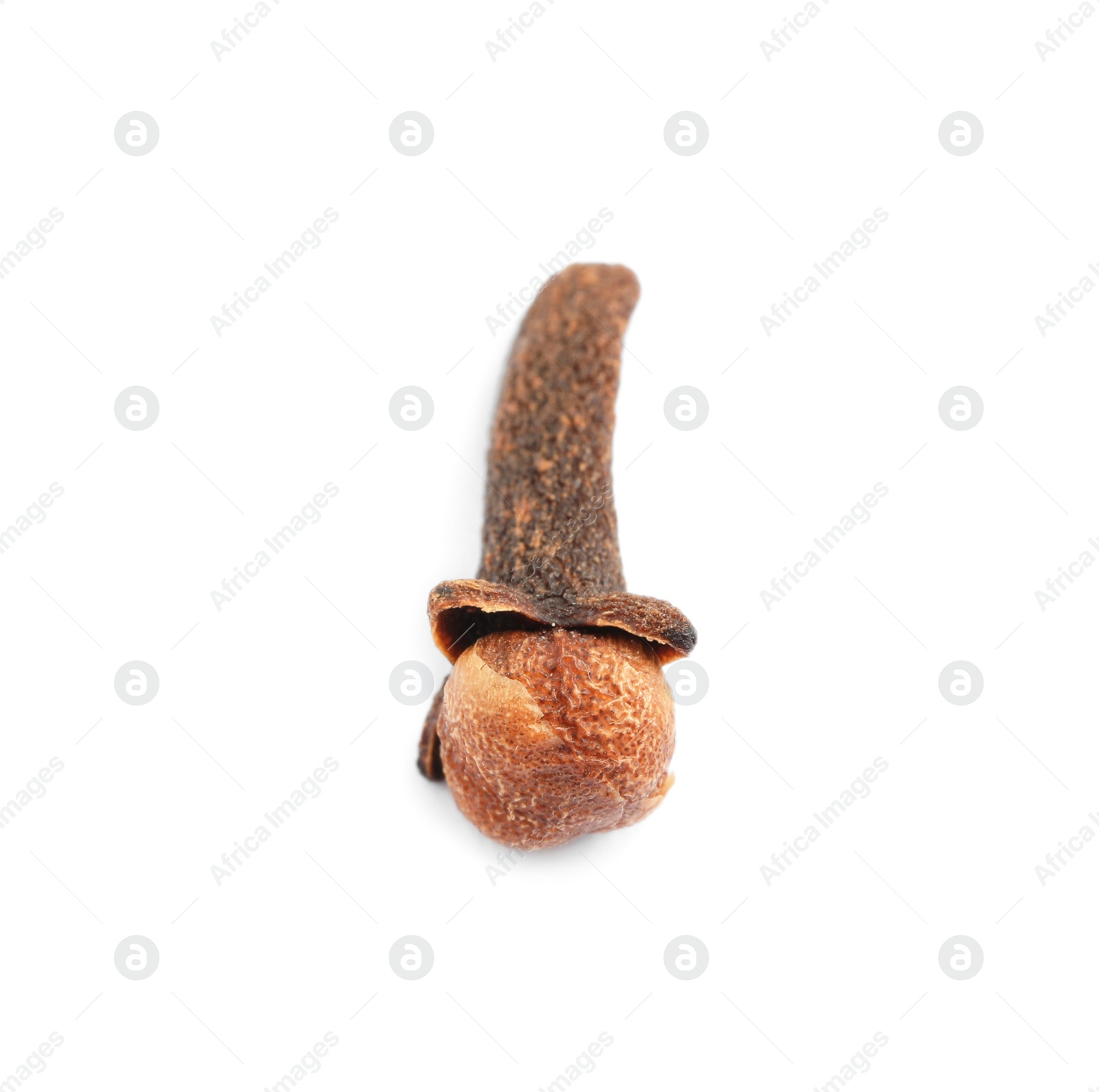 Photo of Aromatic organic dry clove isolated on white