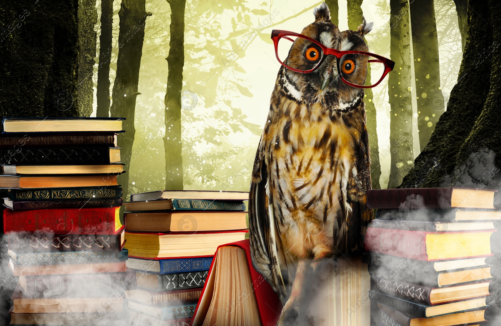 Image of Beautiful wise owl near books in fantasy world